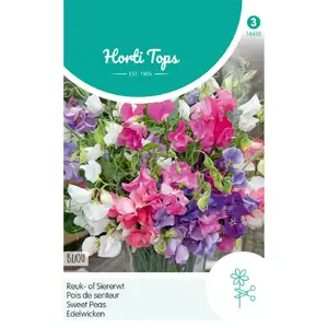 HT LATHYRUS, REUK- OF SIERERWT BIJOU GEMENGD - afbeelding 2