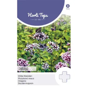 HT MARJOLEIN - OREGANO (ROSEBLOEIEND)