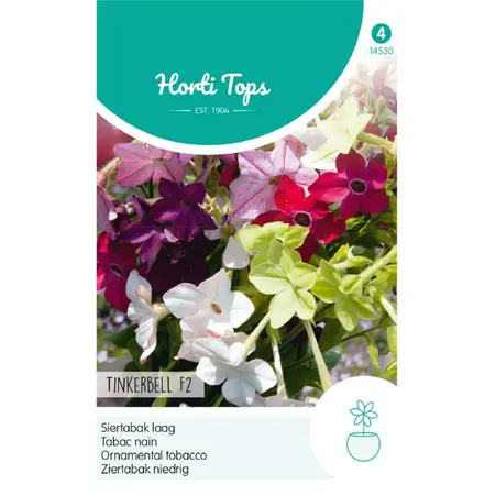 HT NICOTIANA, SIERTABAK TINKERBELL F2 GEMENGD - afbeelding 1