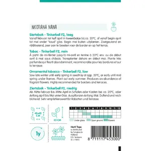 HT NICOTIANA, SIERTABAK TINKERBELL F2 GEMENGD - afbeelding 2