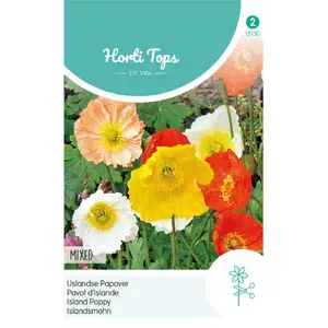 HT PAPAVER, IJSLANDSE PAPAVER GEMENGD - afbeelding 2
