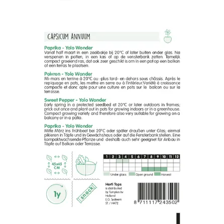 HT Paprika 'Yolo Wonder' - afbeelding 2