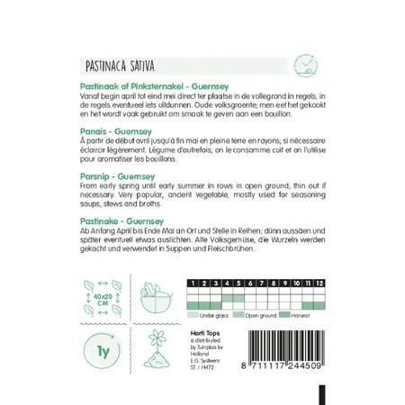 HT Pastinaak 'Guernsey' - Pinksternakel - afbeelding 2