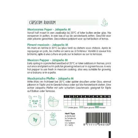 HT Peper 'Jalapeño M' - afbeelding 2