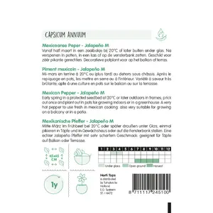 HT Peper 'Jalapeño M' - afbeelding 2