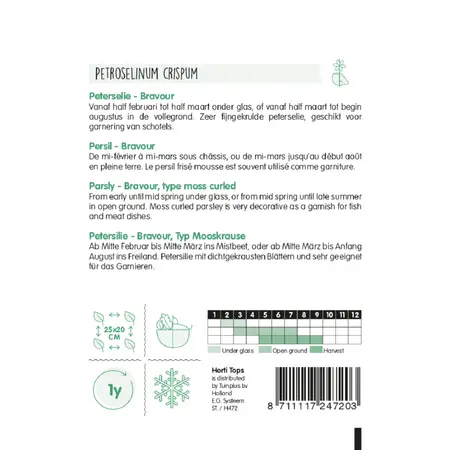 HT Peterselie 'Bravour' - afbeelding 2