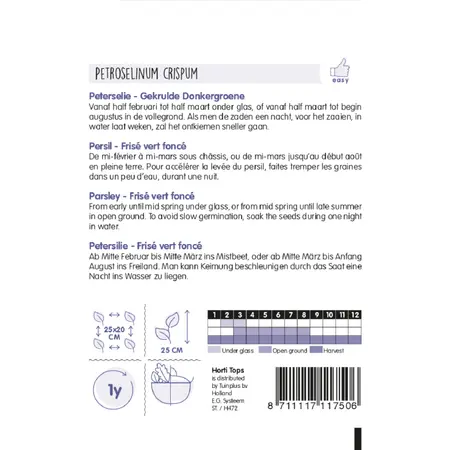 HT Peterselie - Gekrulde Donkergroene - afbeelding 2