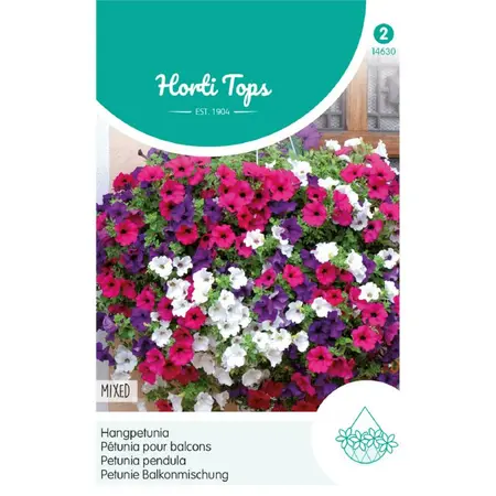 HT Petunia - Hangpetunia - afbeelding 1