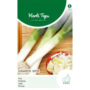 HT Prei 'Blauwgroene' - Winter - afbeelding 1