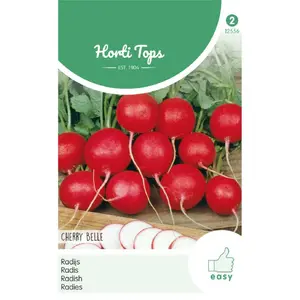 HT RADIJS CHERRY BELLE - afbeelding 2