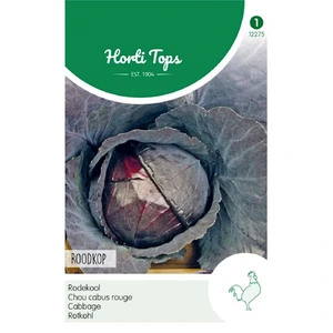 HT Rodekool 'Roodkop' - afbeelding 1