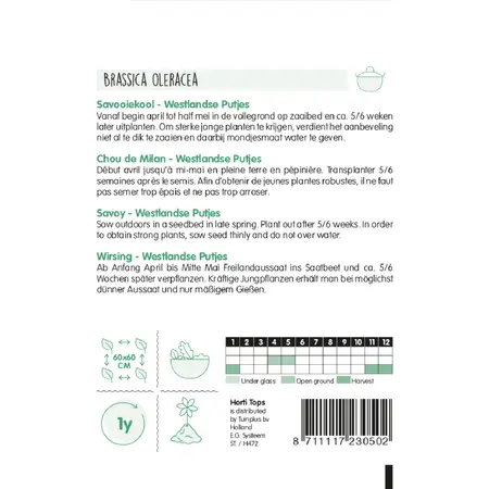 HT Savooiekool - Donkergroene Putjes - afbeelding 2