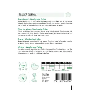 HT Savooiekool - Donkergroene Putjes - afbeelding 2