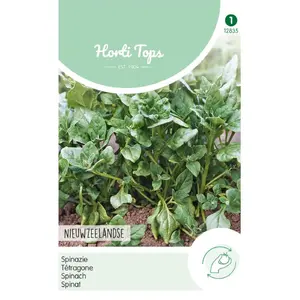 HT SPINAZIE NIEUWZEELANDSE - afbeelding 2
