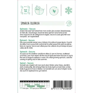 HT Spinazie 'Securo' - afbeelding 2