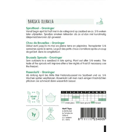 HT Spruitkool 'Groninger' - afbeelding 2