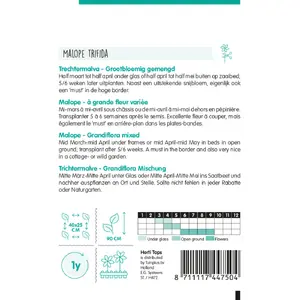 HT Trechtermalva - afbeelding 2