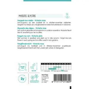 HT Vergeet-Me-Nietje 'Victoria Rose' - afbeelding 2