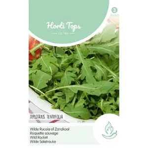 HT WILDE RUCOLA - afbeelding 2