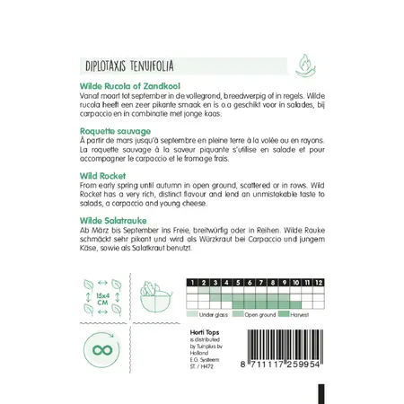 HT WILDE RUCOLA - afbeelding 2