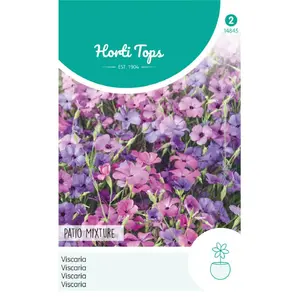 HTS VISCARIA PATIO MIXTURE - afbeelding 2