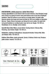 Hyacintboon 'Lablab Silver Moon' - afbeelding 2