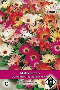 IJsbloemen 'Sunshine' Mix