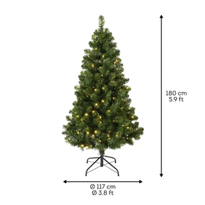 Imperial Pine - D117/H180cm - afbeelding 5