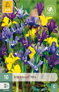 Iris 'Dwarf' Mix