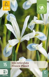 Iris 'Frozen Planet'