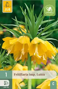 Keizerskroon 'Lutea'