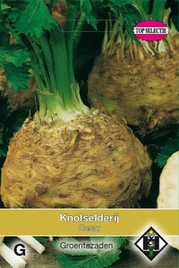 Knolselderij 'Neon' (vh Cesar)