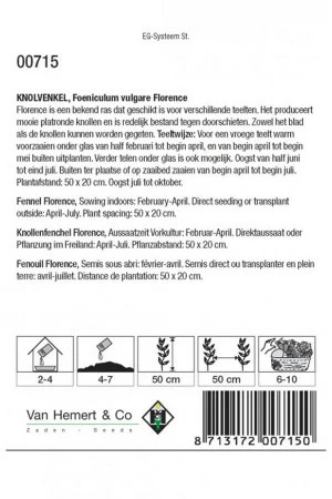 Knolvenkel 'Florence' - afbeelding 2