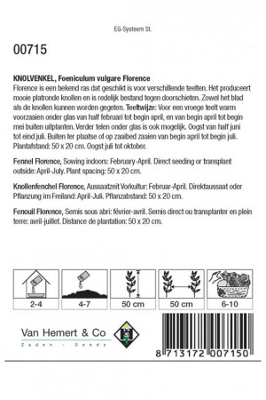 Knolvenkel 'Florence' - afbeelding 2