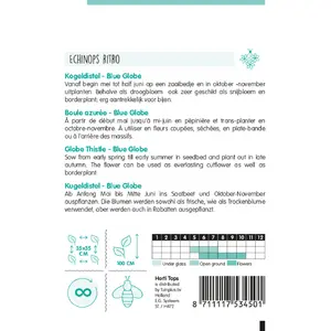 Kogeldistel 'Blue Globe' - afbeelding 2
