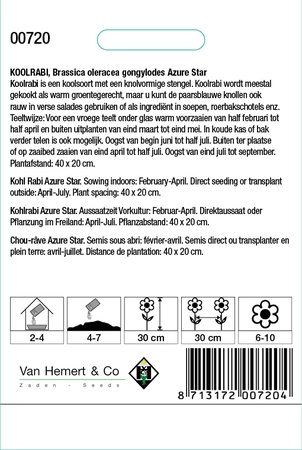 Koolrabi 'Azure Star' - afbeelding 2