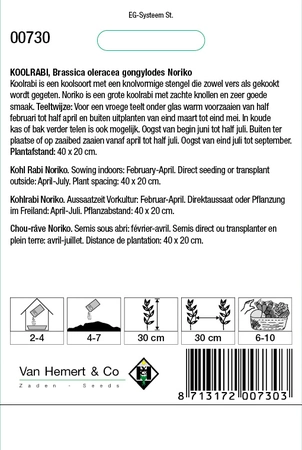 Koolrabi - Noriko - afbeelding 2
