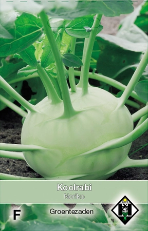 Koolrabi - Noriko - afbeelding 1