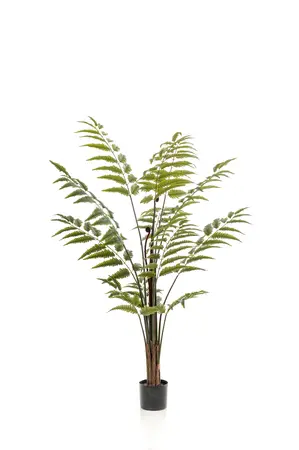 LEATHER FERN GREEN 150CM/129LVS