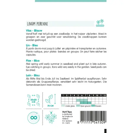 Linum - Vlas Blauw - afbeelding 2