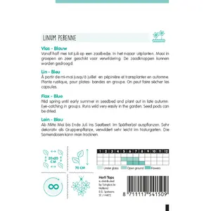 Linum - Vlas Blauw - afbeelding 2