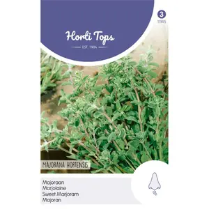 Majoraan - afbeelding 1