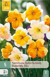Narcis 'Butterfly'