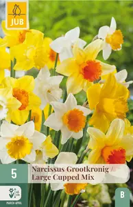 Narcis Grootkronig Mix