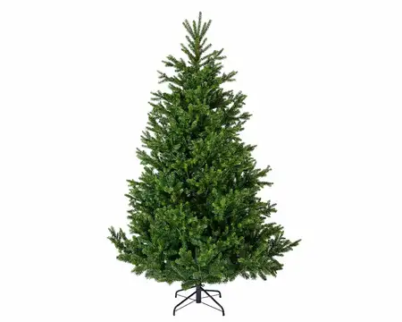 NORDMANN FIR BRANCHE D110H150CM GREEN