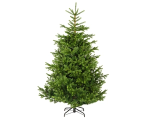 NORDMANN FIR D150 H210CM GREEN