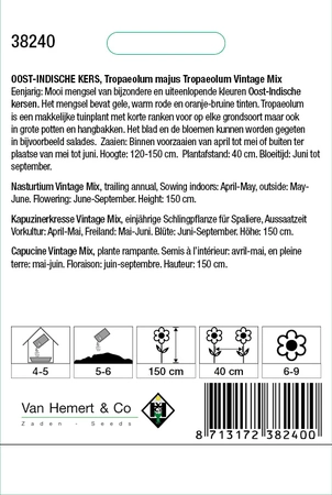 Oost-Indische Kers 'Vintage Mix' - afbeelding 2