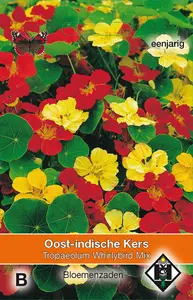 Oost-Indische Kers 'Whirlybird Mix' - afbeelding 2