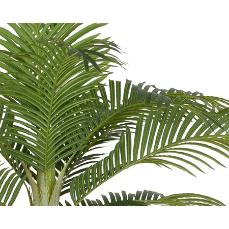 Palmtree in Pot - afbeelding 2