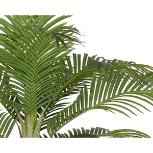 Palmtree in Pot - afbeelding 2